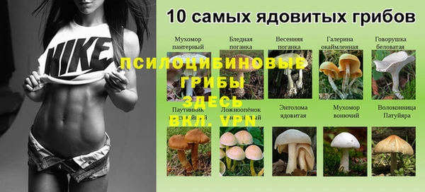 таблы Белоозёрский