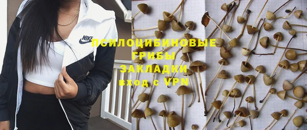 a pvp Белокуриха