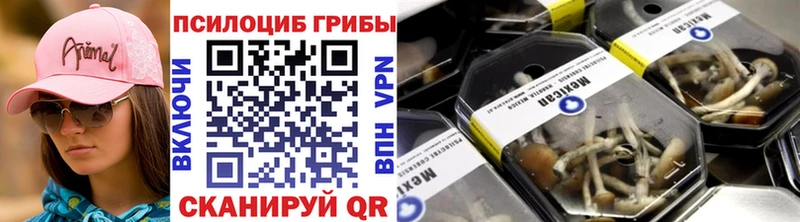 Галлюциногенные грибы GOLDEN TEACHER  MEGA маркетплейс  Жиздра 